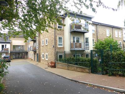 Picture 17